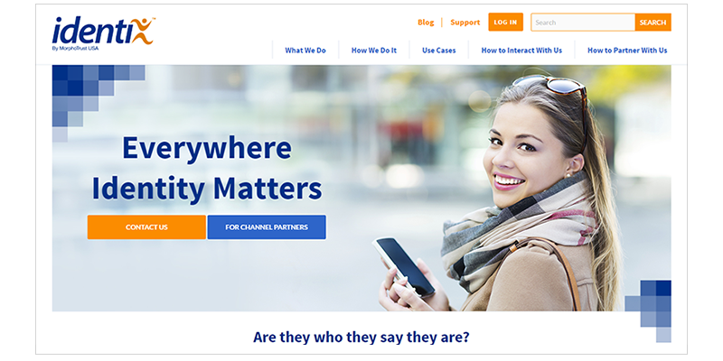 Identix WordPress design